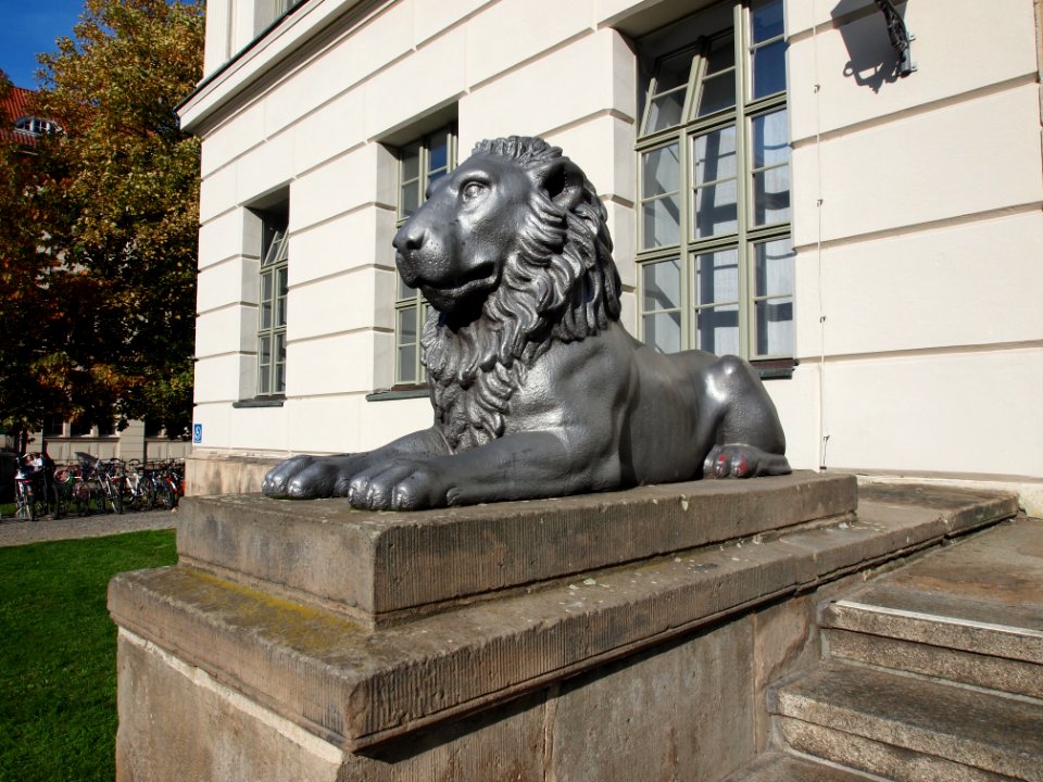 Martin-Luther-Universität Halle/Wittenberg