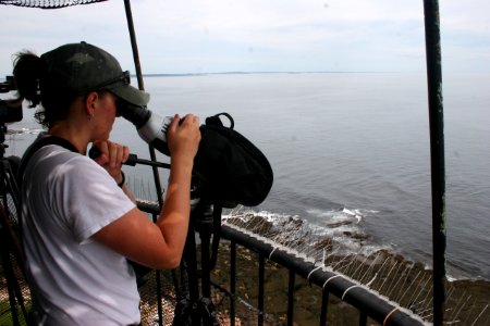 FWS Contractor Watching Puffins From Lighthouse