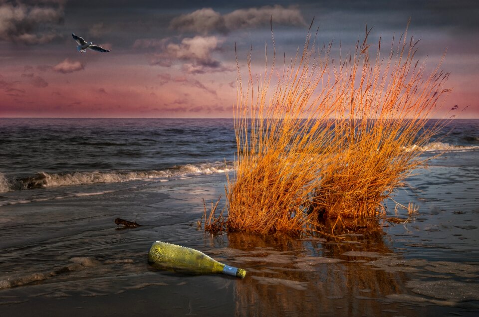 Baltic sea abendstimmung flotsam