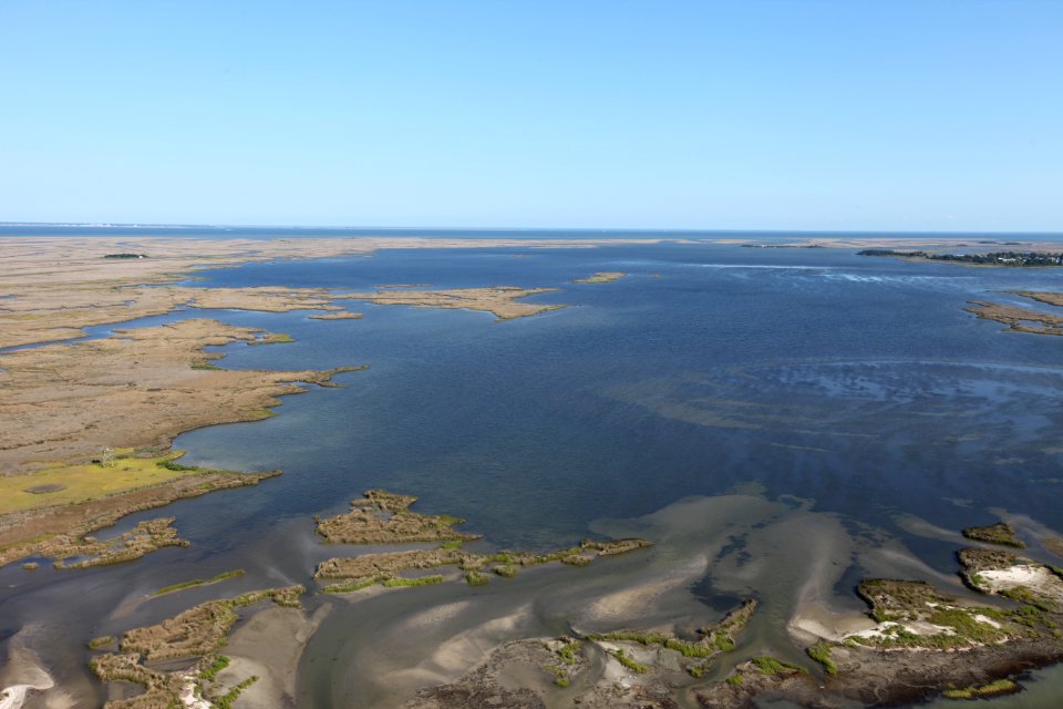 Chesapeake Marshlands at Martin National Wildlife Refuge