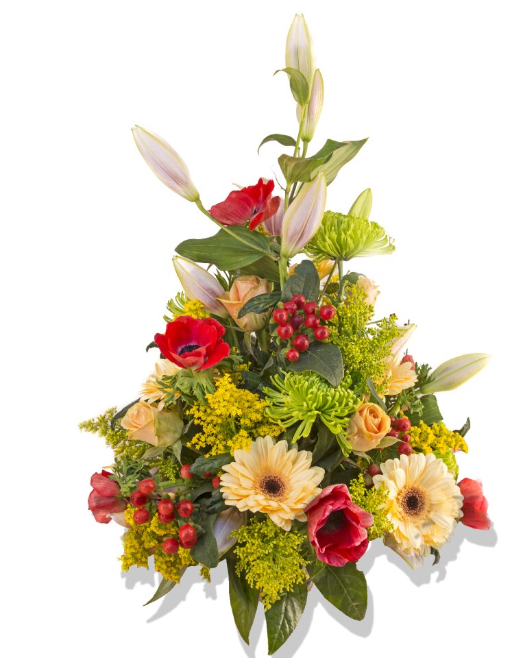 Plants floral center bouquet