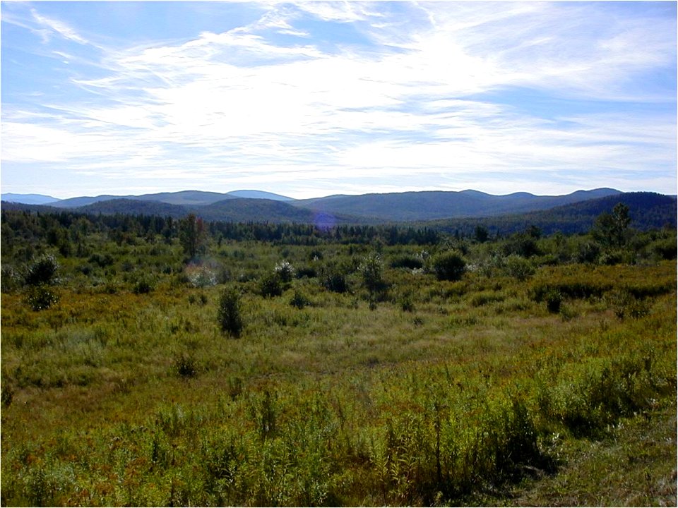 Mountain top basin and forest