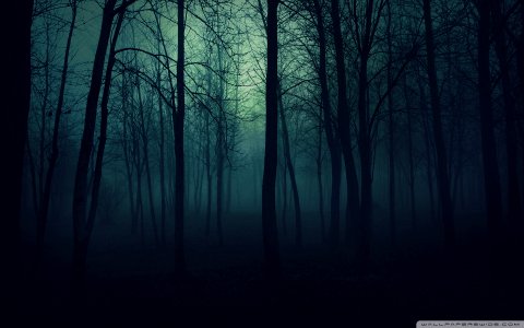 dark forrest 1