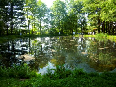Hatchery pond