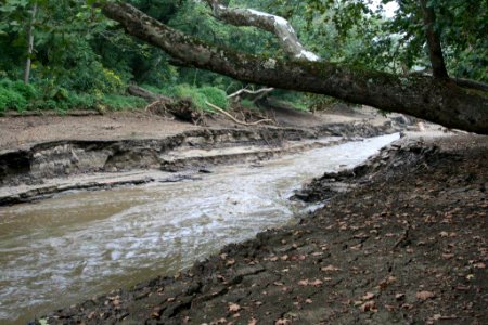 Pigg River Power Dam  Breach - Day 22