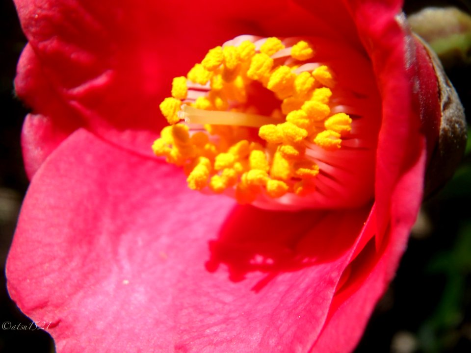P3210050