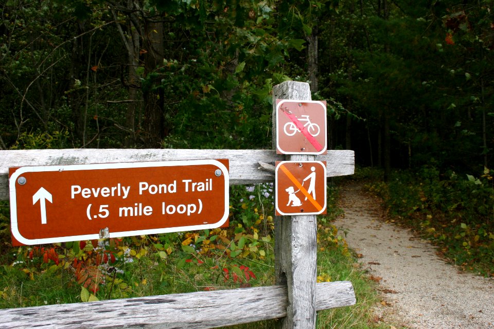 Peverly Pond Trailhead