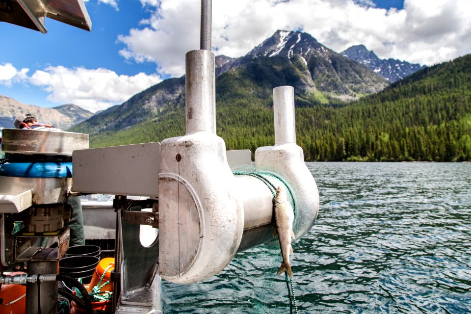 Quartz Lake Fish Project 0323