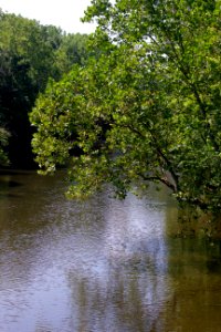 three creeks metro park 7-31-19-18