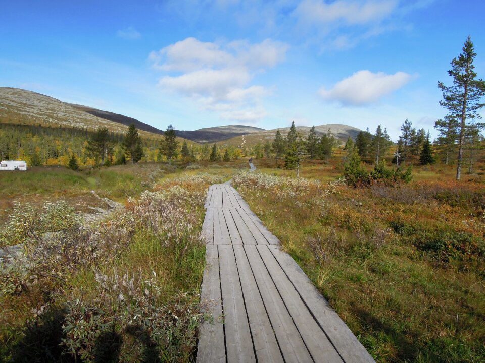 Nature autumn finnish photo