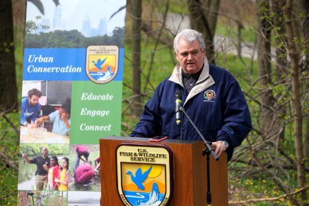 Congressman Robert Brady