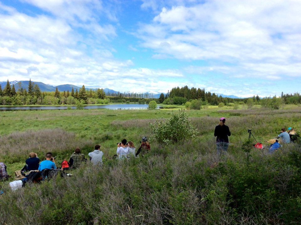 Students survey Common Loons for Lake Ecology BioBlitz