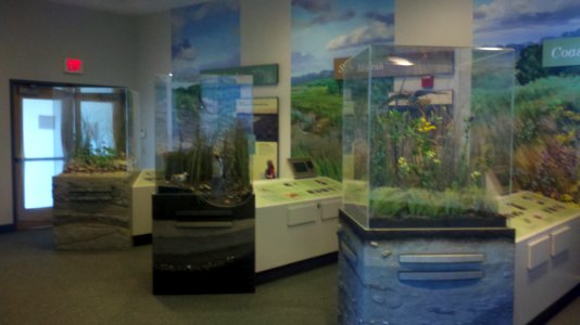 Exhibits photo