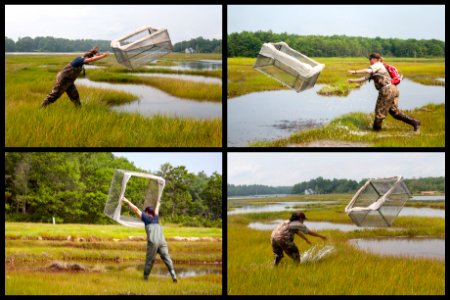 Nekton Sampling - Throw Trap