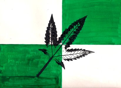 Cannabis Freedom Flag - 4-20-2015 photo