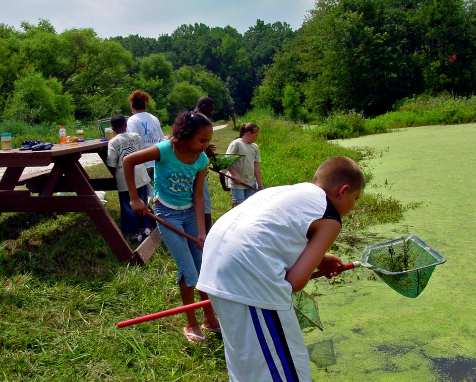 Environmental education