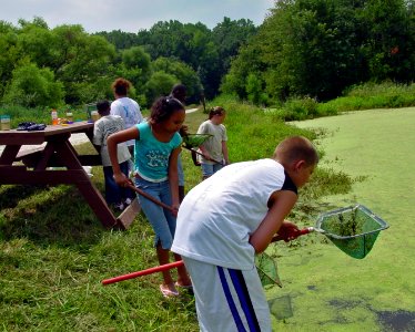 Environmental education