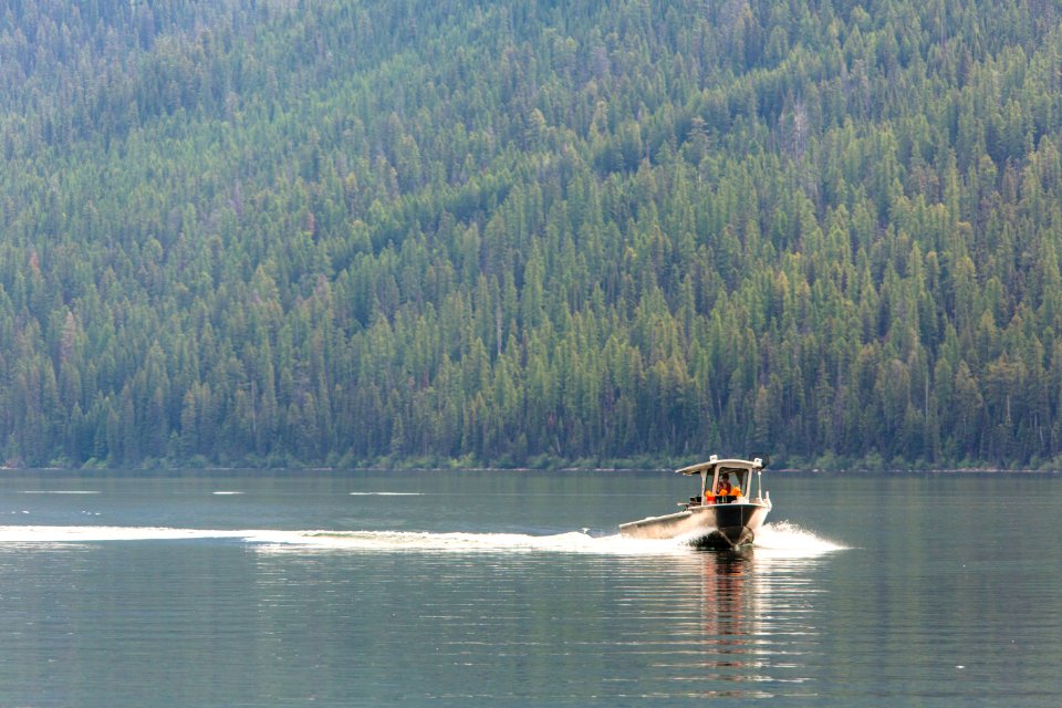 Quartz Lake Fish Project 36 photo