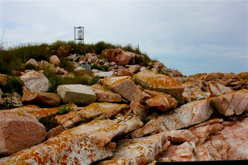 Numbered Puffin Buroughs & Flagged Tern Eggs
