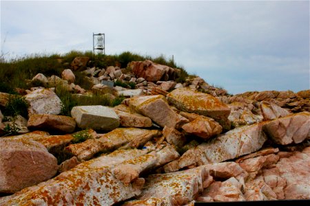 Numbered Puffin Buroughs & Flagged Tern Eggs