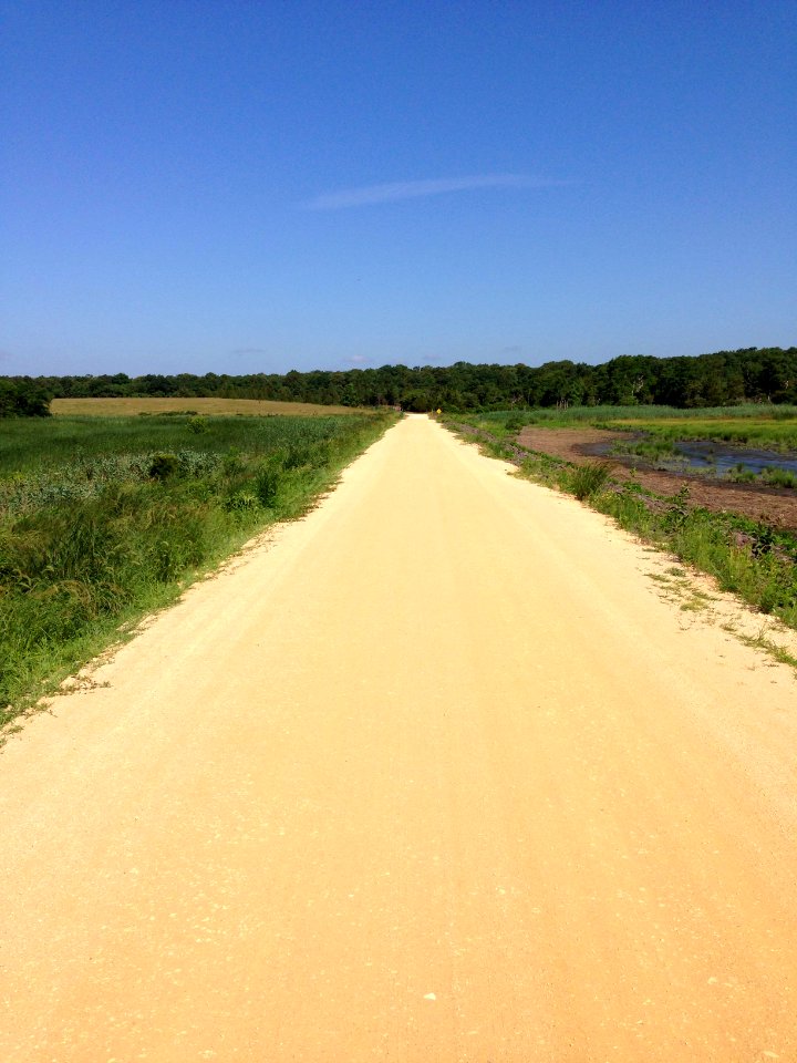 Forsythe wildlife drive after hurricane repairs