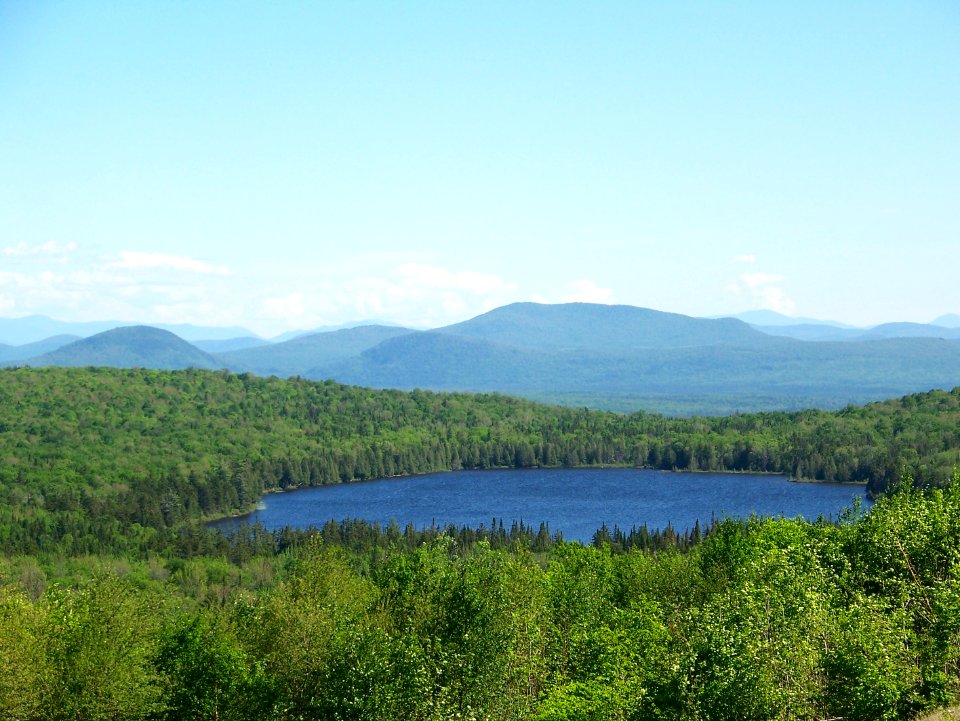 Lewis Pond