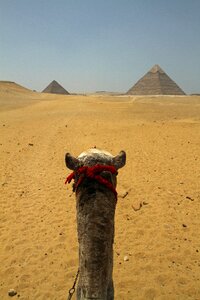 Egyptian desert pyramids photo