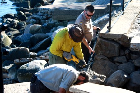 Beginning repairs at Stewart B. McKinney National Wildlife Refuge (CT)