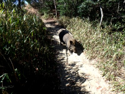 P3210027