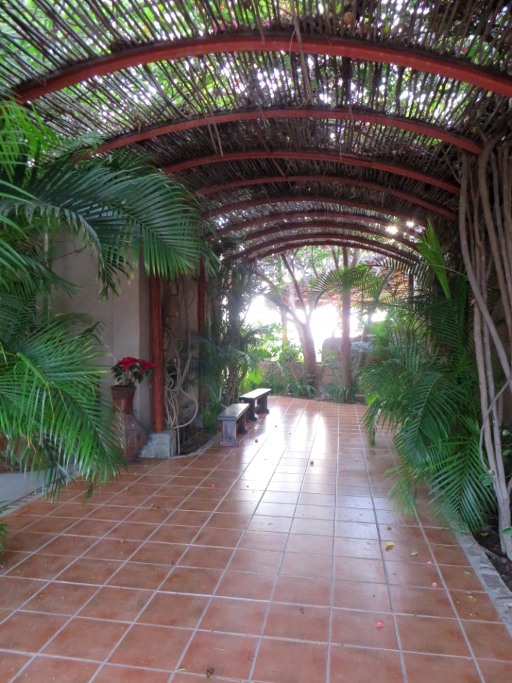 Scenes from last night in Baja (Serendipity Hotel  24) (2)