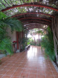 Scenes from last night in Baja (Serendipity Hotel  24) (2)
