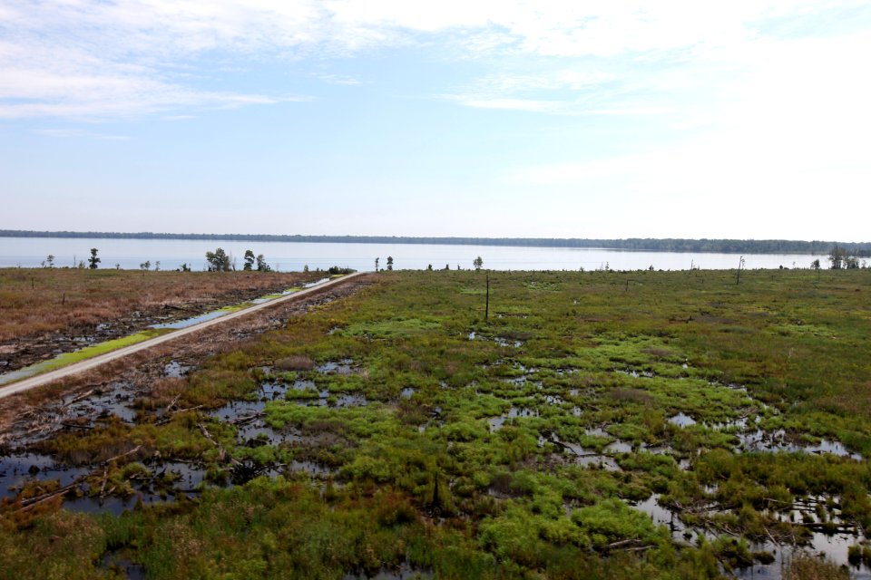 Day 5 - Great Dismal Swamp, VA - Hurricane Sandy Aerial Tour
