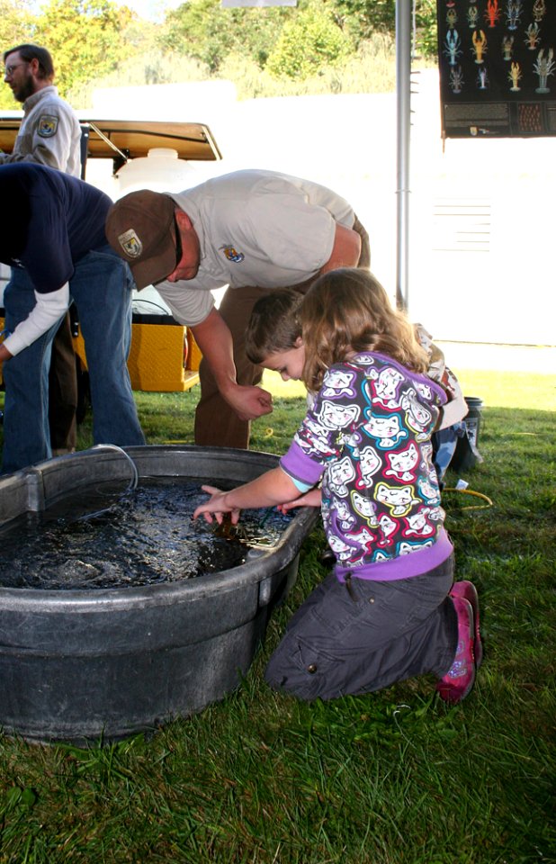 Freshwater Folk Festival (9)