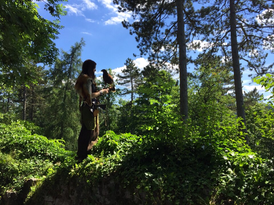 Tuttlingen middle ages honing mountain