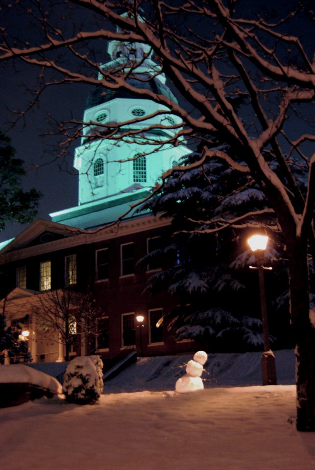 Annapolis Snowperson