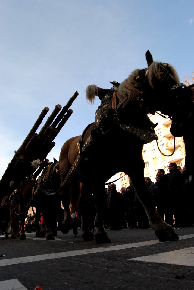 Tres Tombs Igualada 2015