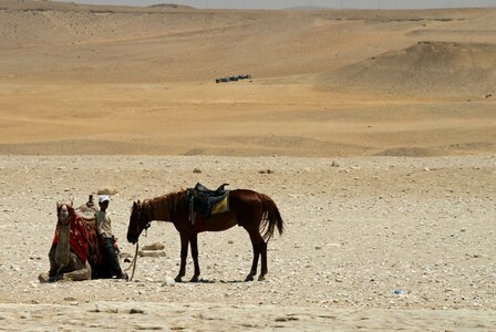 Desert travel sand photo