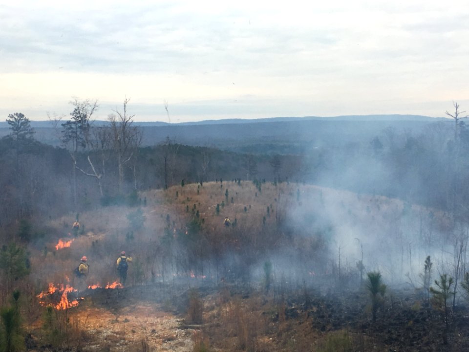 Controlled burn to restore mountain longleaf pine in northwest Georgia - 170317-FS-Chattahoochee-Oconee-SB-020