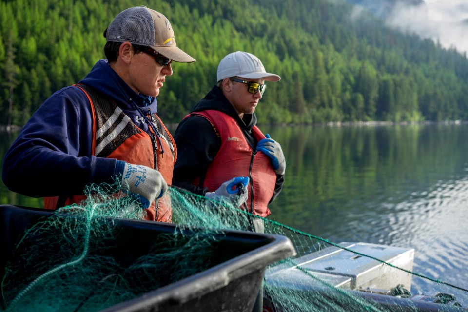 Quartz Lake Fish Project 20 photo