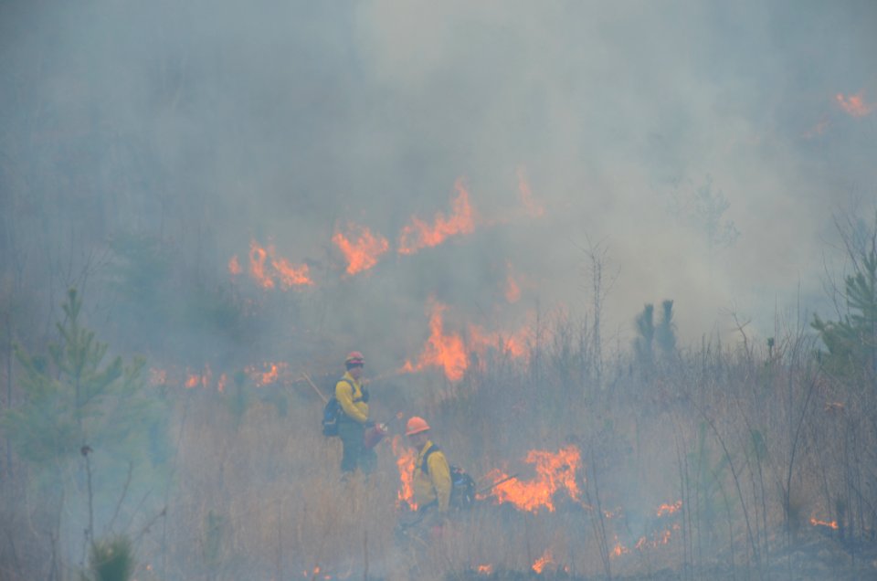 Controlled burn to restore mountain longleaf pine in northwest Georgia - 170317-FS-Chattahoochee-Oconee-SB-053