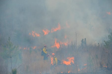Controlled burn to restore mountain longleaf pine in northwest Georgia - 170317-FS-Chattahoochee-Oconee-SB-053