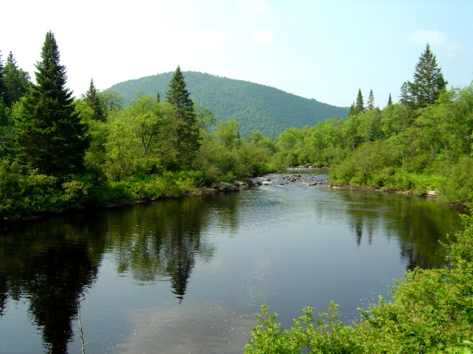 Nulhegan River