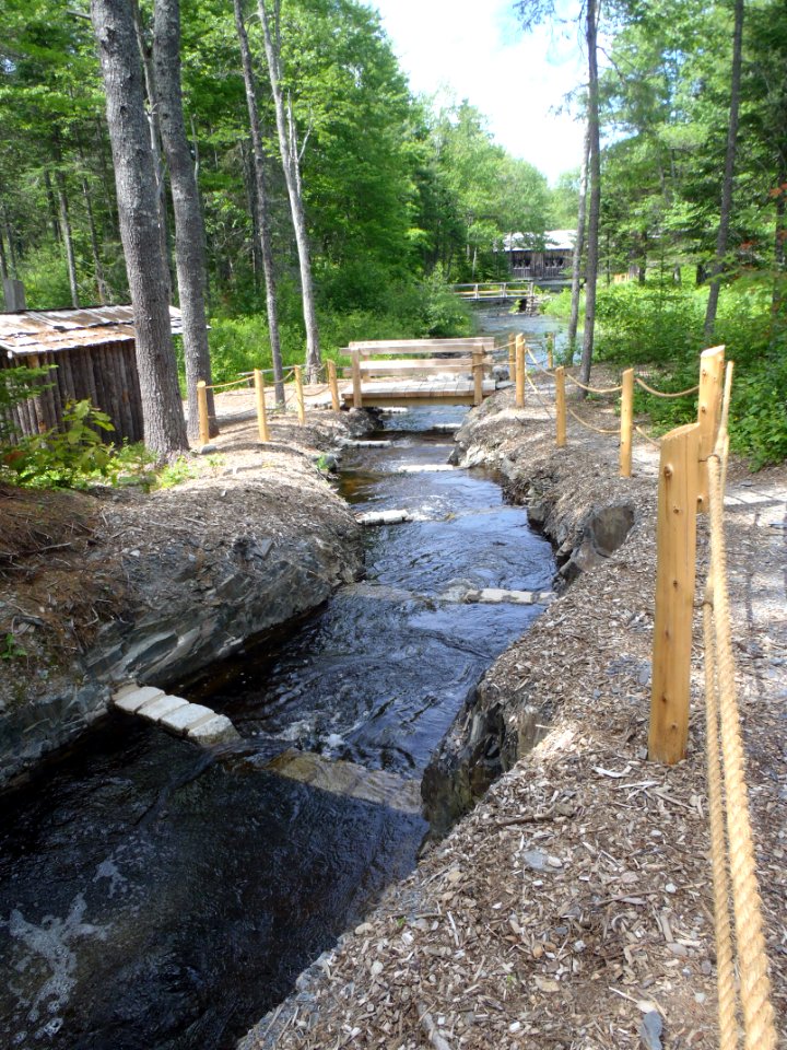 Fish ladder at a park in ME 2