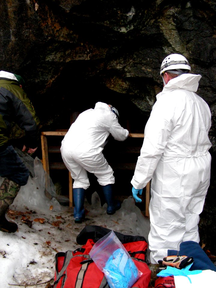 Biologists entering the mine