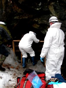 Biologists entering the mine
