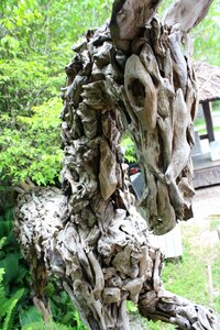 Wood carving horses statue