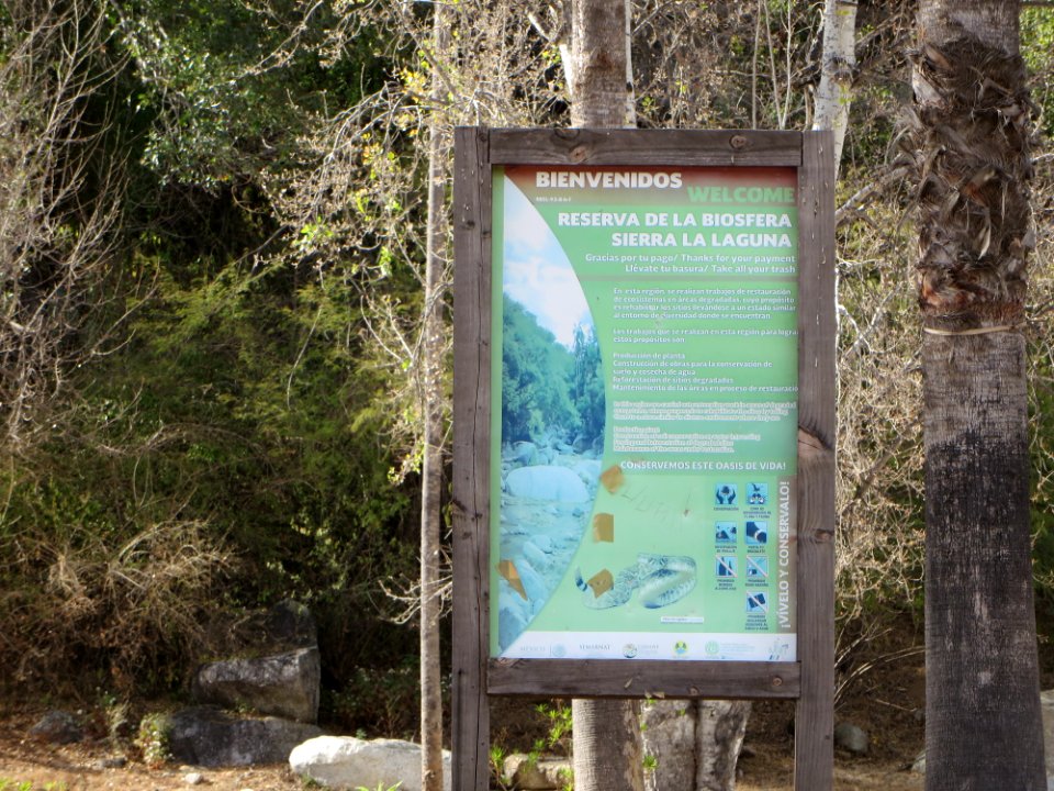Sierra La Laguna hike through the Wash (7)