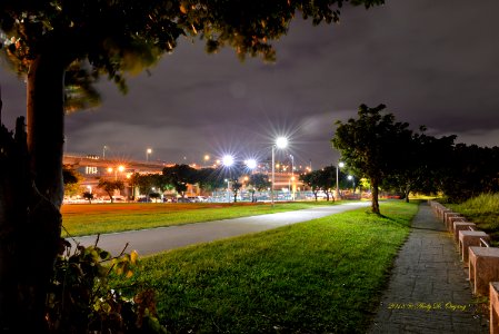 a-DSC 2121