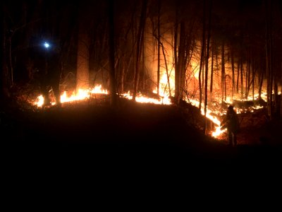 170402-FS-Chattahoochee-Oconee-NP-003