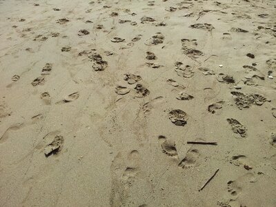 Barefoot tropical footstep photo